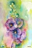 Lisa Steincke - Hollyhock